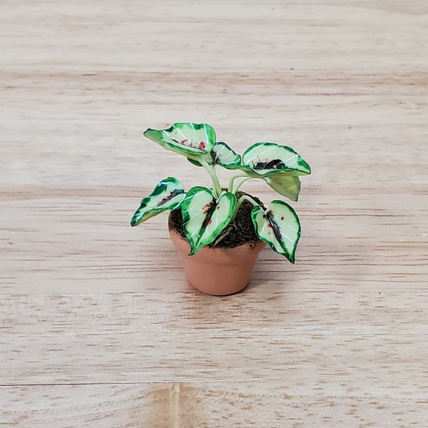 Dollhouse Plant Caladium Terra Cotta Planter Pot 1:12 Scale Miniature Houseplant