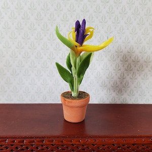 May include: A miniature, handcrafted flower arrangement in a small terracotta pot. The flower features vibrant yellow and purple petals with green leaves. The pot is filled with brown soil, creating a realistic, decorative piece.