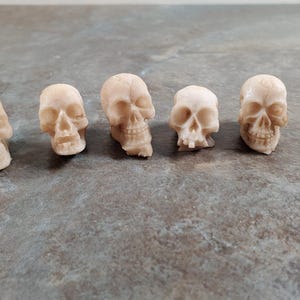 Miniature Skulls Tiny 5 Random 1:12 Scale Halloween Decoration Scale Model Resin