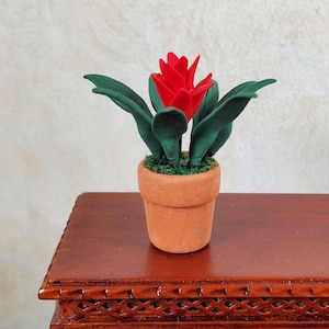May include: A miniature potted plant with a vibrant red flower and dark green leaves. The plant sits in a small, terracotta-colored pot. The pot is filled with green moss. The plant is on a dark brown wooden surface.