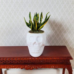 May include: A white skull-shaped planter filled with a snake plant. The snake plant has green and yellow striped leaves. The planter sits on a dark brown wooden table with carved details. The background is a light patterned wallpaper.