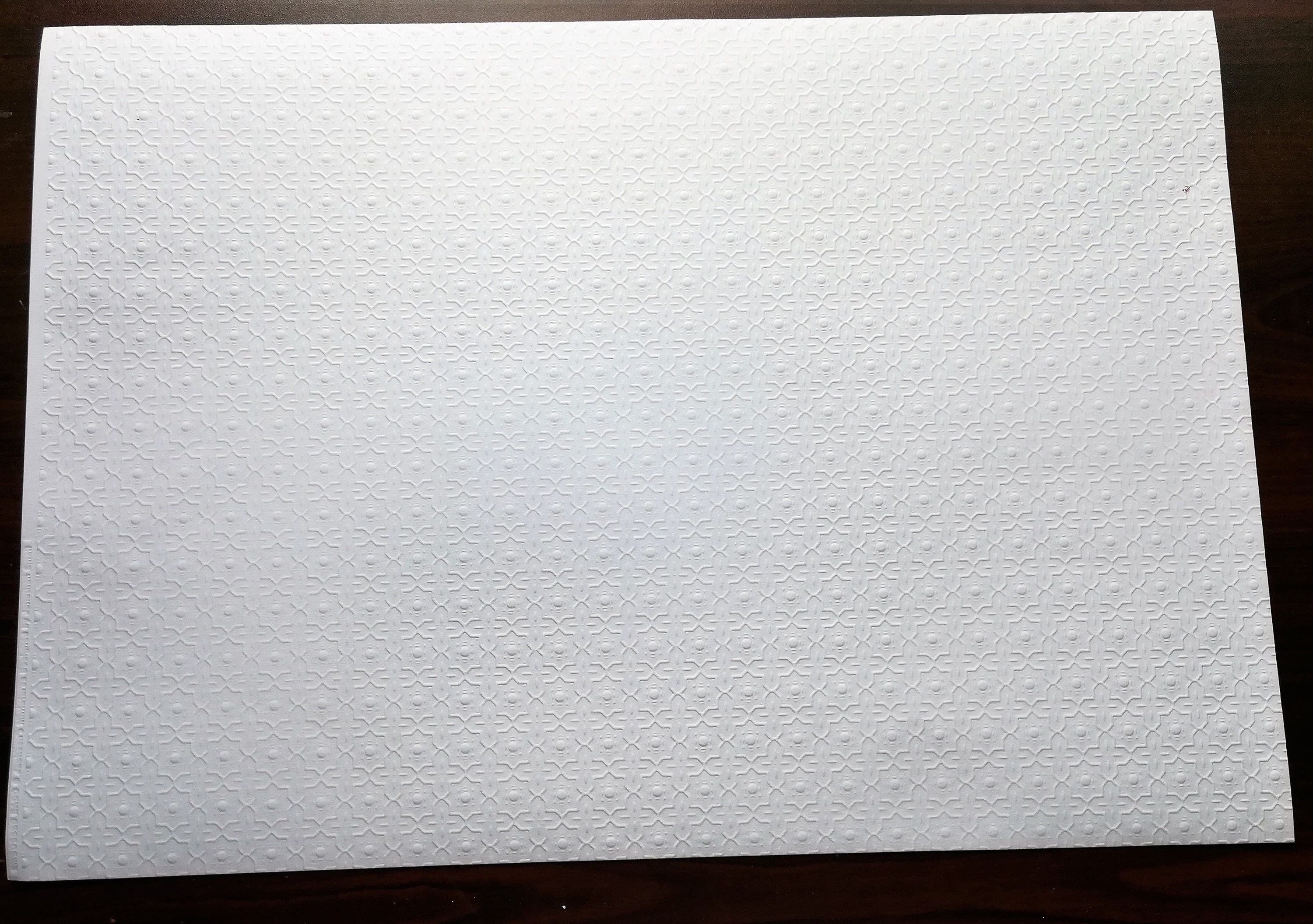 Dollhouse Miniature Ceiling Paper White Embossed Textured 1 12