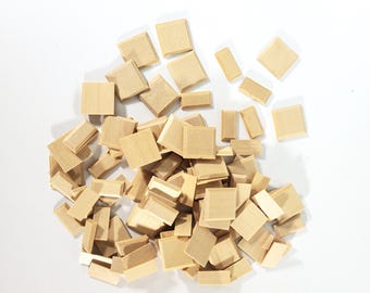 Miniature Small Wood Wall Panels or Corner Stone Bricks 100 Pieces Raised Panels 1:12 Scale