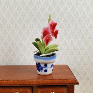 May include: Miniature potted orchid with pink and red flowers, green leaves, and a blue and white ceramic pot. The pot has a floral design. The plant sits on a wooden surface.