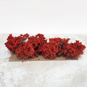 Miniature Red Shrub Small Bush Round Model Scenery RR Dollhouse Garden
