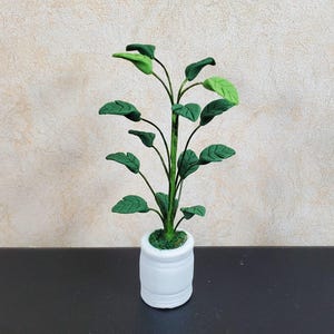 May include: A miniature plant in a white ceramic pot. The plant has a green stem and leaves, with a few leaves showing a lighter green color. The pot is cylindrical with a slightly flared rim. The plant is on a black surface.