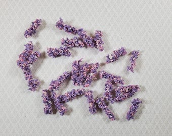 Miniature Wisteria Blooms Flowers Pink and Purple x25 Model Scenery Dioramas