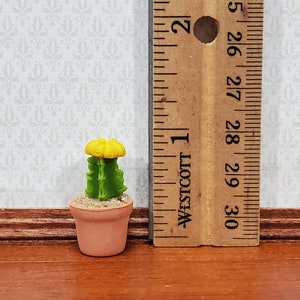 Dollhouse Moon Cactus Plant Yellow Potted in Terra Cotta Planter 1:12 Scale Miniature Decor image 3