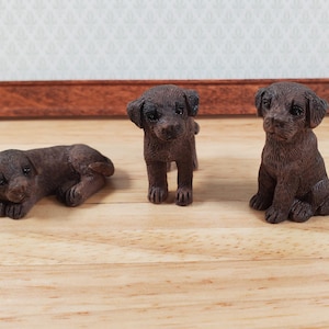 Dollhouse Labrador Chocolate Lab Puppy Dogs x3 1:12 Scale Miniatures Animal Pet