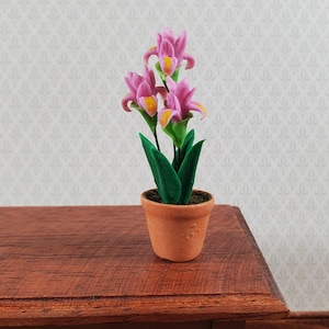 May include: A miniature potted plant featuring three pink iris-like flowers with yellow centers and green leaves, housed in a small terracotta-colored clay pot. The plant is displayed upright, showcasing the vibrant pink petals and dark green foliage.