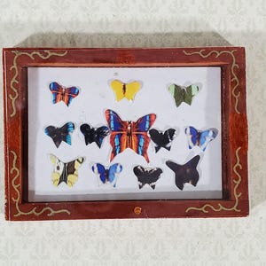 Dollhouse Butterfly Shadow Box 1:12 Scale Miniature Decor Accessories