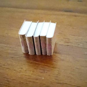 Dollhouse Miniature Book Set x5 Louisa May Alcott 1:12 Scale (blank inside)
