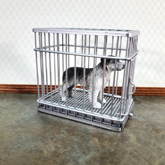 dog opens crate