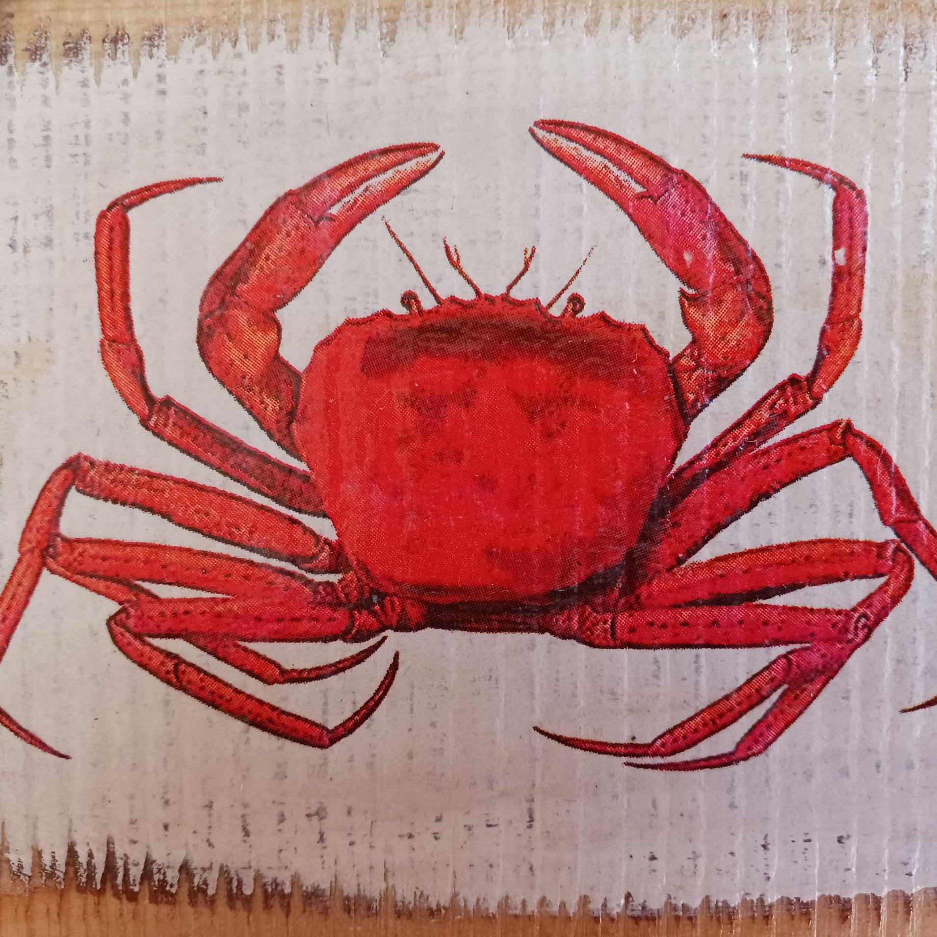 Red Crab Decoration, Cottage Wall Décor, Ocean Plank, Ocean Cabin