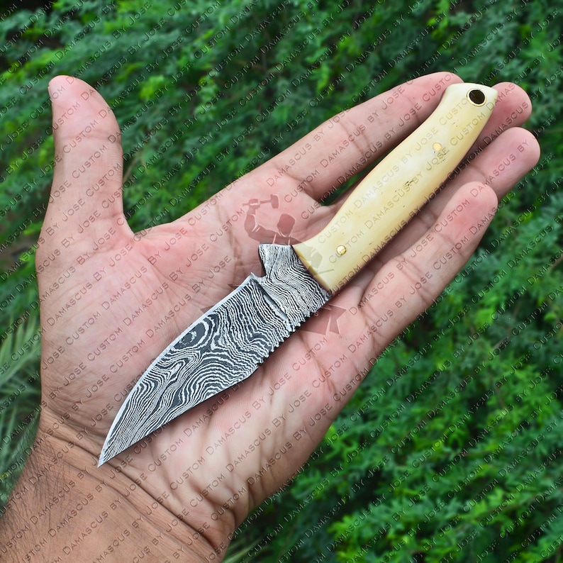 May include: A small, fixed blade knife with a damascus steel blade and a bone handle. The handle is a light cream color with a brass pin at the top. The blade has a slight curve and a serrated edge.