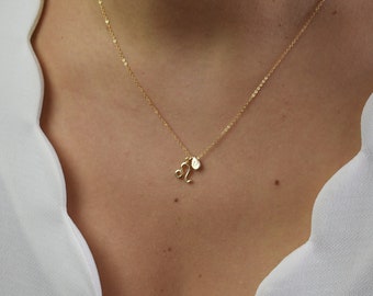 Tiny Zodiac Necklace, Horoscope Necklace,Gold Tear Drop Necklace, Custom Initial Necklace, Constellation Necklace, Astrology Necklace AD158