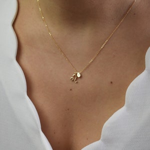 Tiny Zodiac Necklace, Horoscope Necklace,Gold Tear Drop Necklace, Custom Initial Necklace, Constellation Necklace, Astrology Necklace AD158 image 1