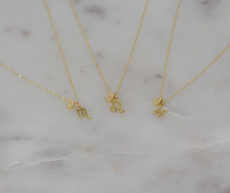 Tiny Zodiac Necklace, Horoscope Necklace,Gold Tear Drop Necklace, Custom Initial Necklace, Constellation Necklace, Astrology Necklace AD158 image 6