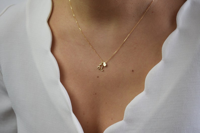 Tiny Zodiac Necklace, Horoscope Necklace,Gold Tear Drop Necklace, Custom Initial Necklace, Constellation Necklace, Astrology Necklace AD158 image 1