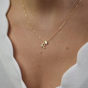 Tiny Zodiac Necklace, Horoscope Necklace,Gold Tear Drop Necklace, Custom Initial Necklace, Constellation Necklace, Astrology Necklace AD158 image 5