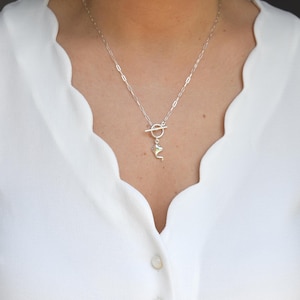 Könnte beinhalten: Eine silberne Halskette mit einem Delfin-Anhänger. Die Halskette hat eine zarte Kette und einen Knebelverschluss. Der Delfin-Anhänger ist klein und detailliert, mit poliertem Finish. Die Halskette wird über einer weißen Bluse getragen.