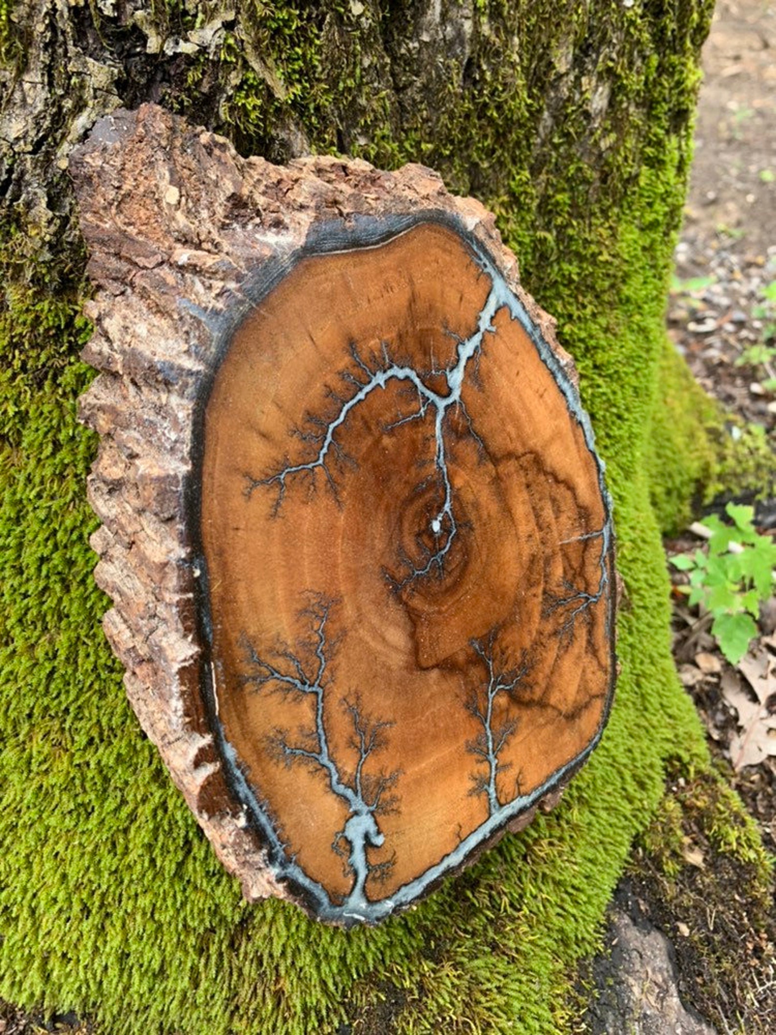 Wood Burn With Resin Inlay Wood Burn Resin Wall Decor Etsy