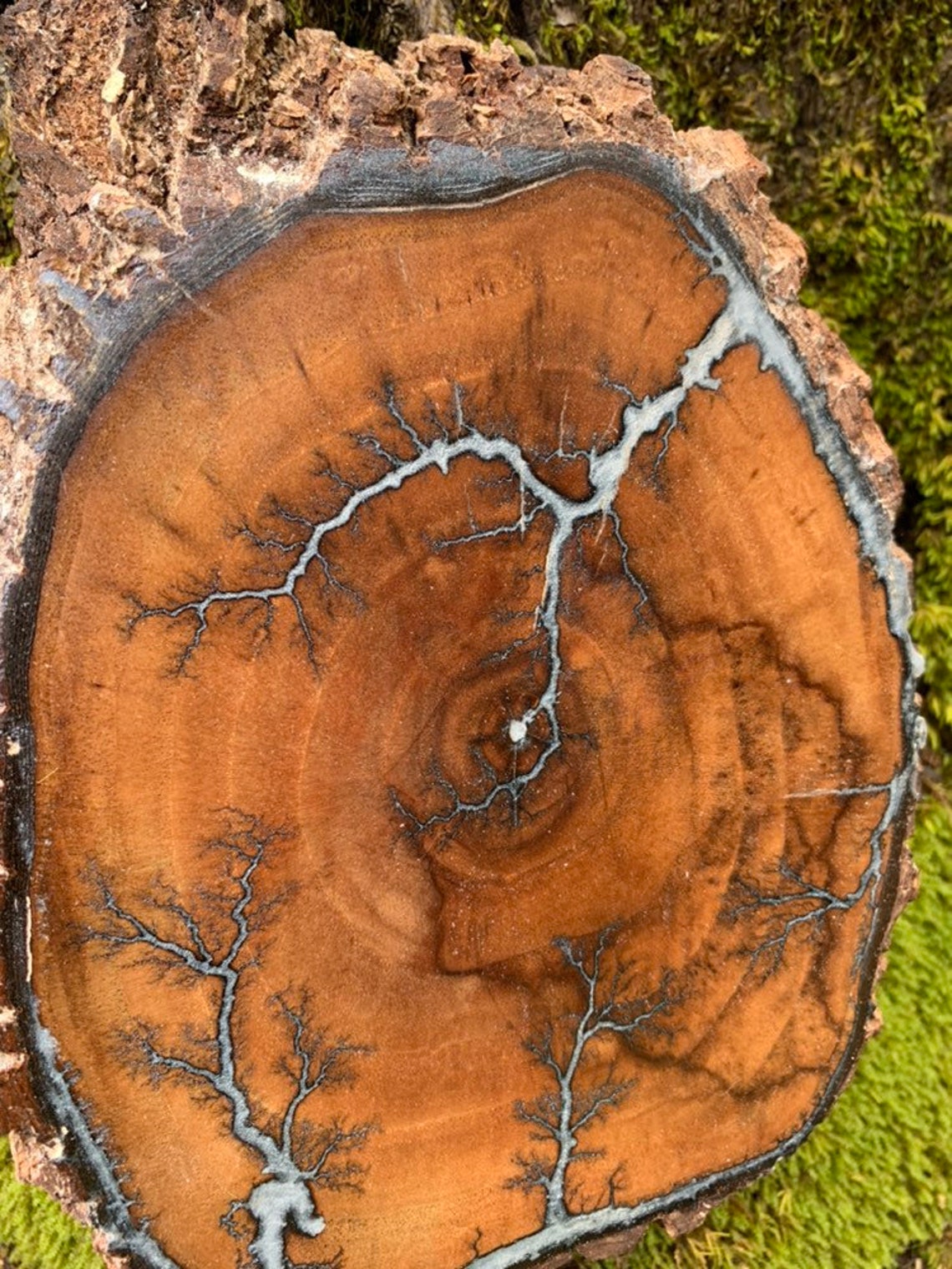 Wood Burn With Resin Inlay Wood Burn Resin Wall Decor Etsy