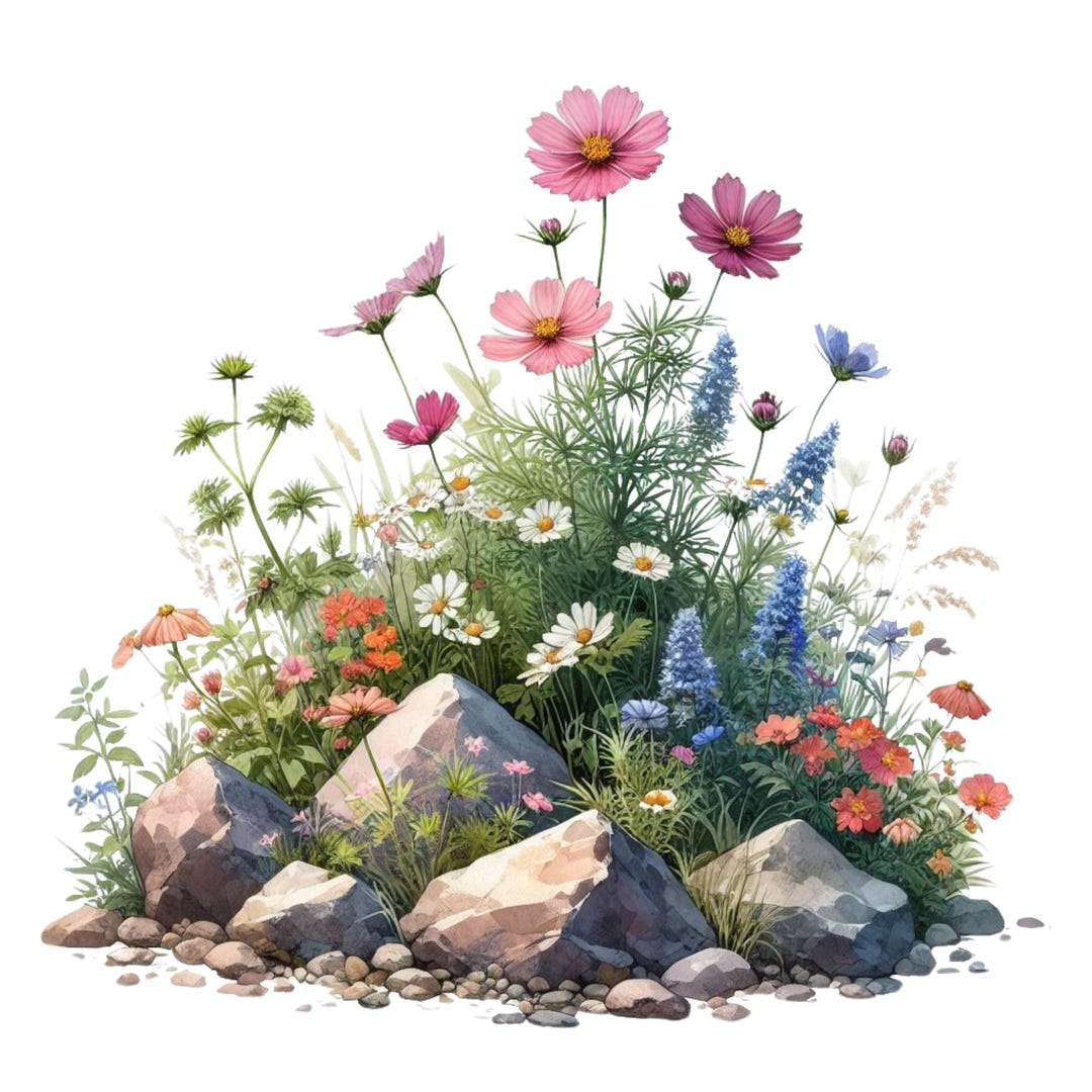 10 Wildflower Clipart Png Transparent Background 300dpi High-resolution ...