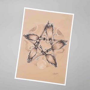 May include: A black and white pen and ink drawing of five broomsticks arranged in a pentagram shape on a beige background. The broomsticks are tied together with twine and have a detailed, realistic design.