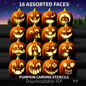 Op de afbeelding: Zestien gebeeldhouwde oranje pompoenen met diverse verlichte gezichten. De afbeelding bevat bovenaan de tekst "16 ASSORTED FACES" en onderaan "PUMPKIN CARVING STENCILS Downloadable PDF", met een Fox Art Trail-logo.