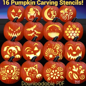 May include: Sixteen orange pumpkins with various carved designs for Halloween. Designs include a jack-o'-lantern face, bats, a cat, and floral patterns. The text "16 Pumpkin Carving Stencils!" and "Downloadable PDF" are visible.