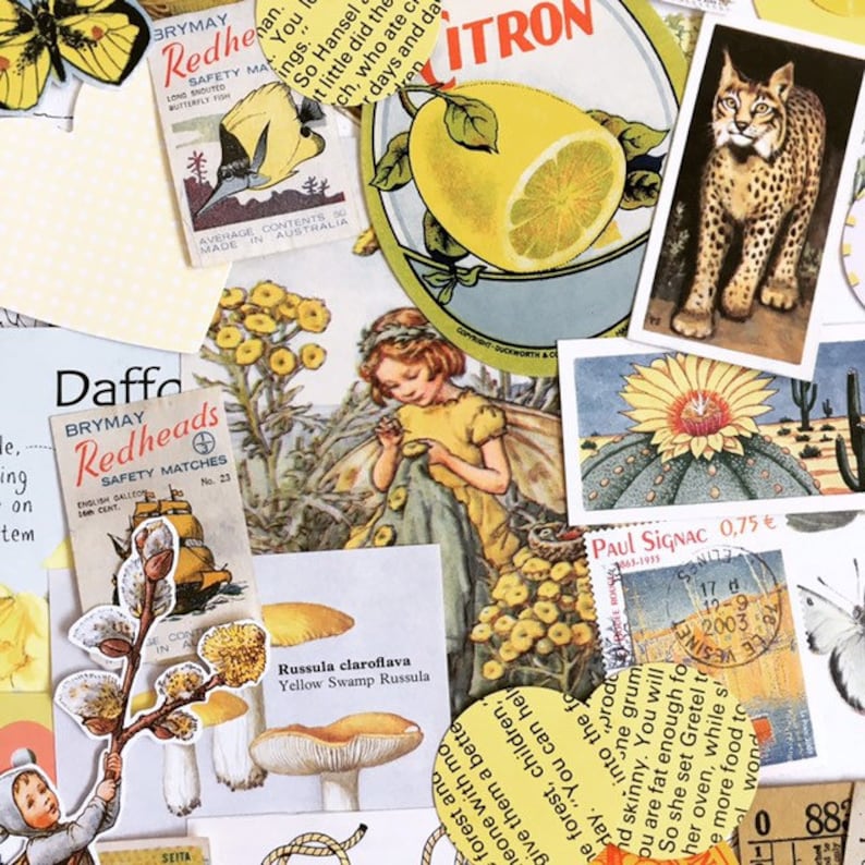 May include: A collage of vintage images featuring a yellow butterfly, a lemon, a mushroom, a flower, a cactus, a cat, and a fairy. The images are printed on paper and have a distressed, vintage look.