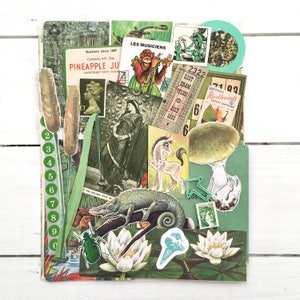 Könnte beinhalten: Eine Collage aus Vintage-Elementen mit Illustrationen von Pflanzen und Tieren. Sie enthält ein Ananassaft-Etikett, ein Ticket, einen Pilz, ein Chamäleon und einen Comic-Affen. Die Farbpalette wird von Grün, Braun und Weiß dominiert.
