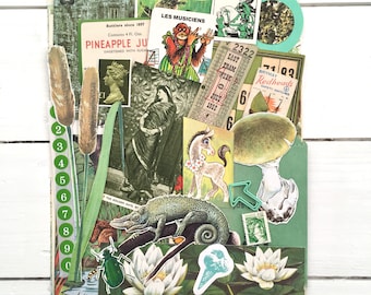 May include: A collage of vintage ephemera featuring botanical and animal illustrations. Includes a pineapple juice label, a ticket, a mushroom, a chameleon, and a cartoon monkey. The color palette is primarily green, brown, and white.