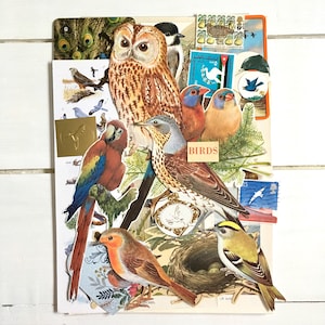 Uccelli, nidi e uova Ephemera / Confezione di carta vintage per album / Diario della natura / Arte multimediale / Collage di uccelli / Kit diario spazzatura