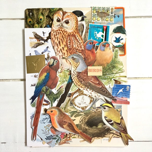 Vögel, Nester und Eier Ephemera | Vintage Papier Pack für Scrapbook | Natur Zeitschrift | Mixed Media Kunst | Vogelcollage | Junk Journal Kit