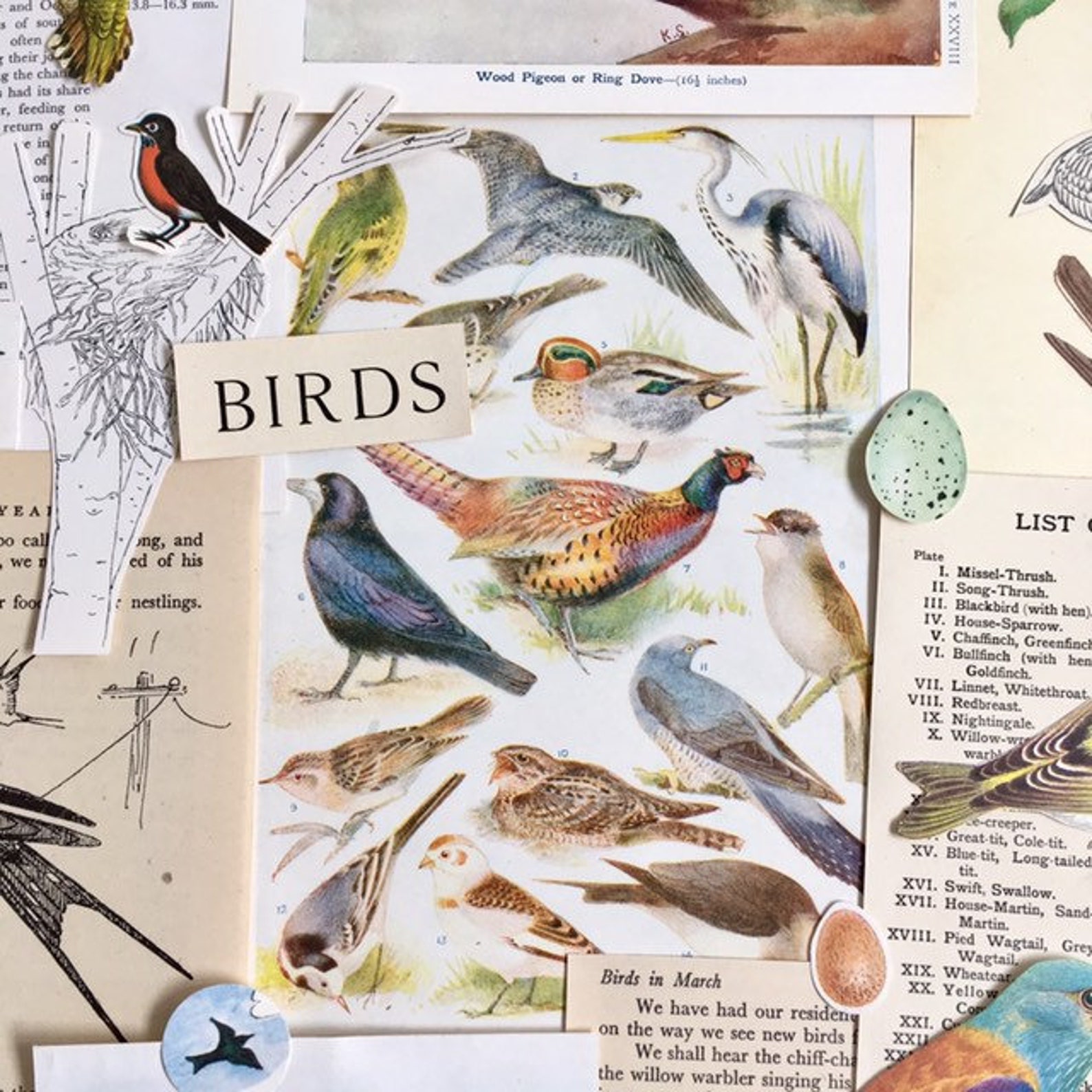 Birds & Nests Scrapbooking paper Vintage Bird Ephemera Etsy