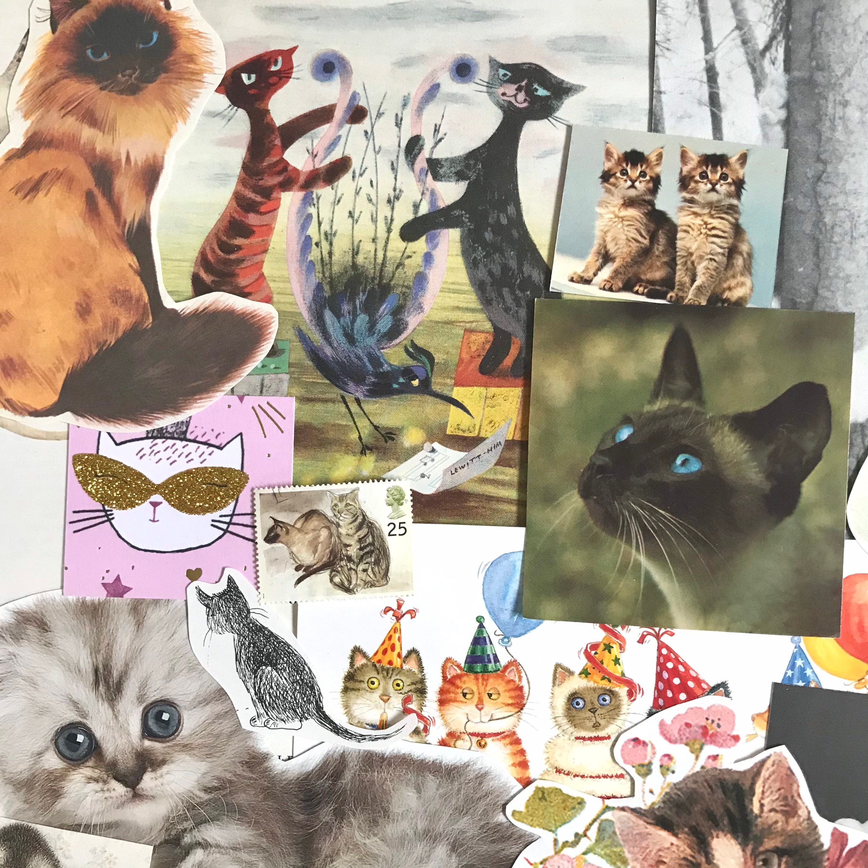 6 Styles Cat's Words Series Cat Journal Collage Material Paper - Temu