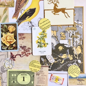 May include: A collage of vintage paper ephemera with a yellow bird, a yellow flower, a deer, a Monopoly game piece, and a bottle of witch hazel. The collage is on a white background.