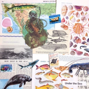 Ephemera o tematyce morskiej i oceanicznej | Zestaw rzemiosła morskiego i plażowego | Książka Vintage Smash | Album ze zdjęciami muszli i ryb | Dziennik podróży | Natura