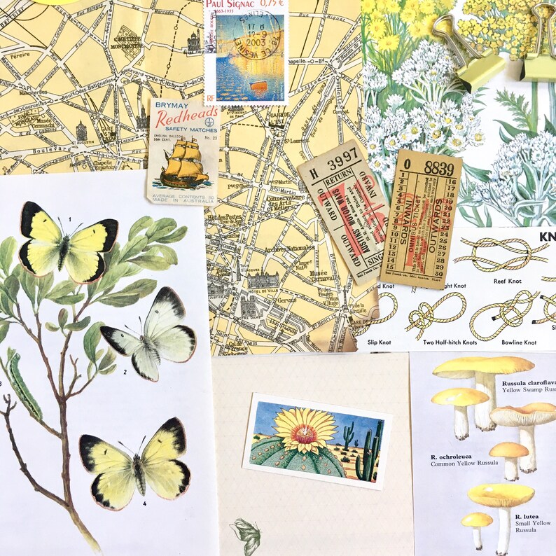 May include: A collage of vintage ephemera including a map, a stamp, a matchbook, a ticket, and a knot-tying guide. The image also includes a botanical illustration of butterflies and a cactus with a flower.