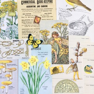 May include: A vintage collage featuring a yellow daffodil with a diagram of its parts, a yellow butterfly, a knot-tying guide, a mushroom illustration, and a page from an accounting book. The text on the page reads "COMMERCIAL BOOK-KEEPING ACCOUNTING AND BANKING".