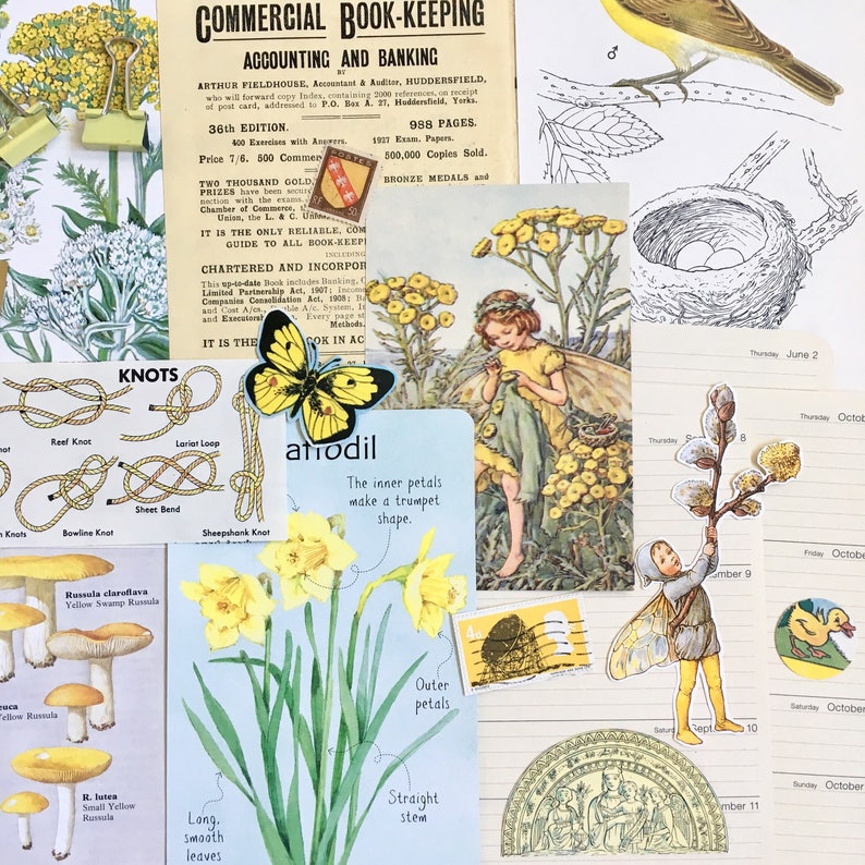 May include: A vintage collage featuring a yellow daffodil with a diagram of its parts, a yellow butterfly, a knot-tying guide, a mushroom illustration, and a page from an accounting book. The text on the page reads "COMMERCIAL BOOK-KEEPING ACCOUNTING AND BANKING".