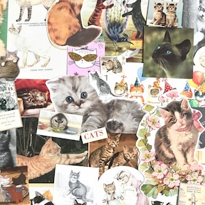 May include: A collage of images featuring cats in various poses and settings. The collage includes images of cats wearing hats, cats wearing sunglasses, cats sleeping, and cats playing. The collage also includes text that says "CATS" and "TABBY POINT SIAMESE".