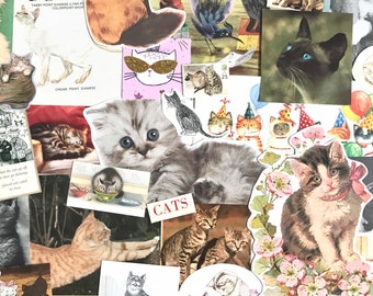 Cat & Kitten themed Ephemera | Paper Craft Pack | Scrapbook Supplies | Inspiration kit | Junk journal | Cat collage | Cat lover gift