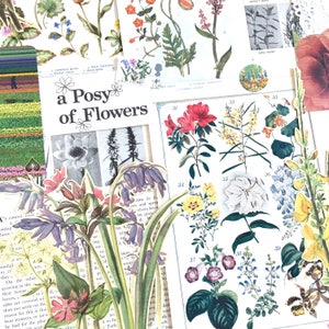 Éphémères sur le thème des fleurs | Kit scrapbooking vintage | Collage botanique de fleurs sauvages | Pack d'artisanat floral | Journal de la nature | Fleurs sauvages