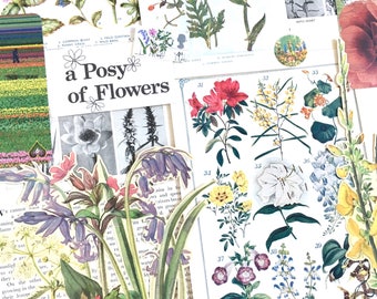Flower themed Ephemera | Vintage scrapbooking Kit | Botanical Wild Flower Collage | Floral Craft pack | Nature Journal | Wild flowers