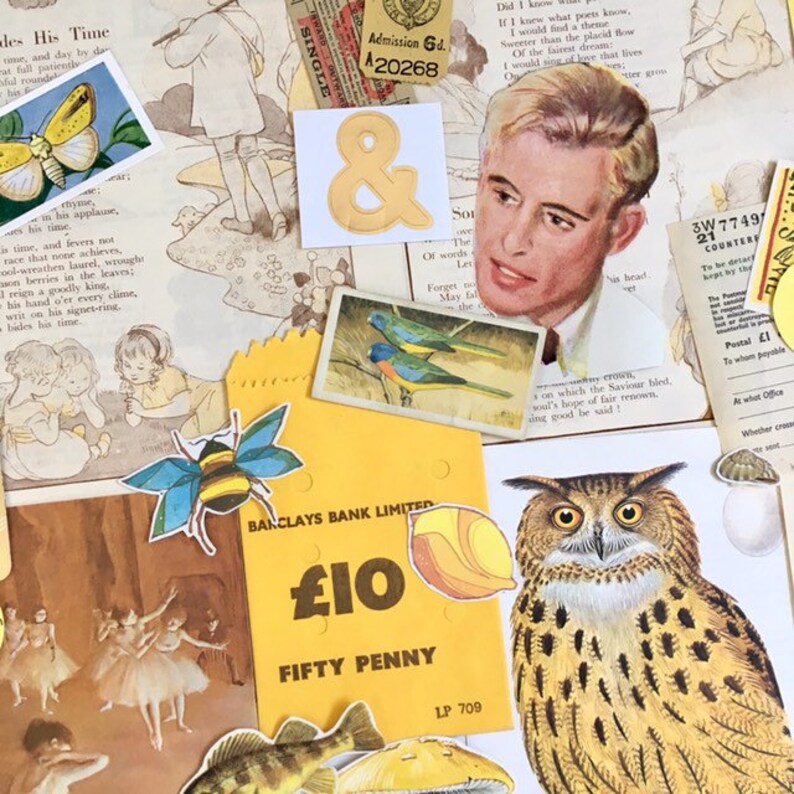 May include: A collage of vintage images and ephemera, including a yellow and brown owl, a bee, a butterfly, a bird, a man's face, a ticket with the text "Admission Gd. 20268", and a yellow bank note with the text "Barclays Bank Limited &pound;10 Fifty Penny LP 709".
