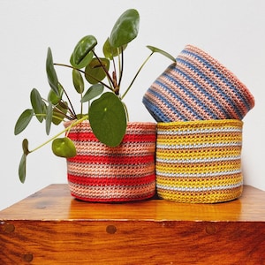 Peut inclure: Trois cache-pots crochetés, rouge, bleu et jaune, avec des rayures horizontales. L'un d'eux contient une plante verte aux feuilles rondes. Les pots sont empilés sur une surface en bois, créant un affichage coloré et texturé.