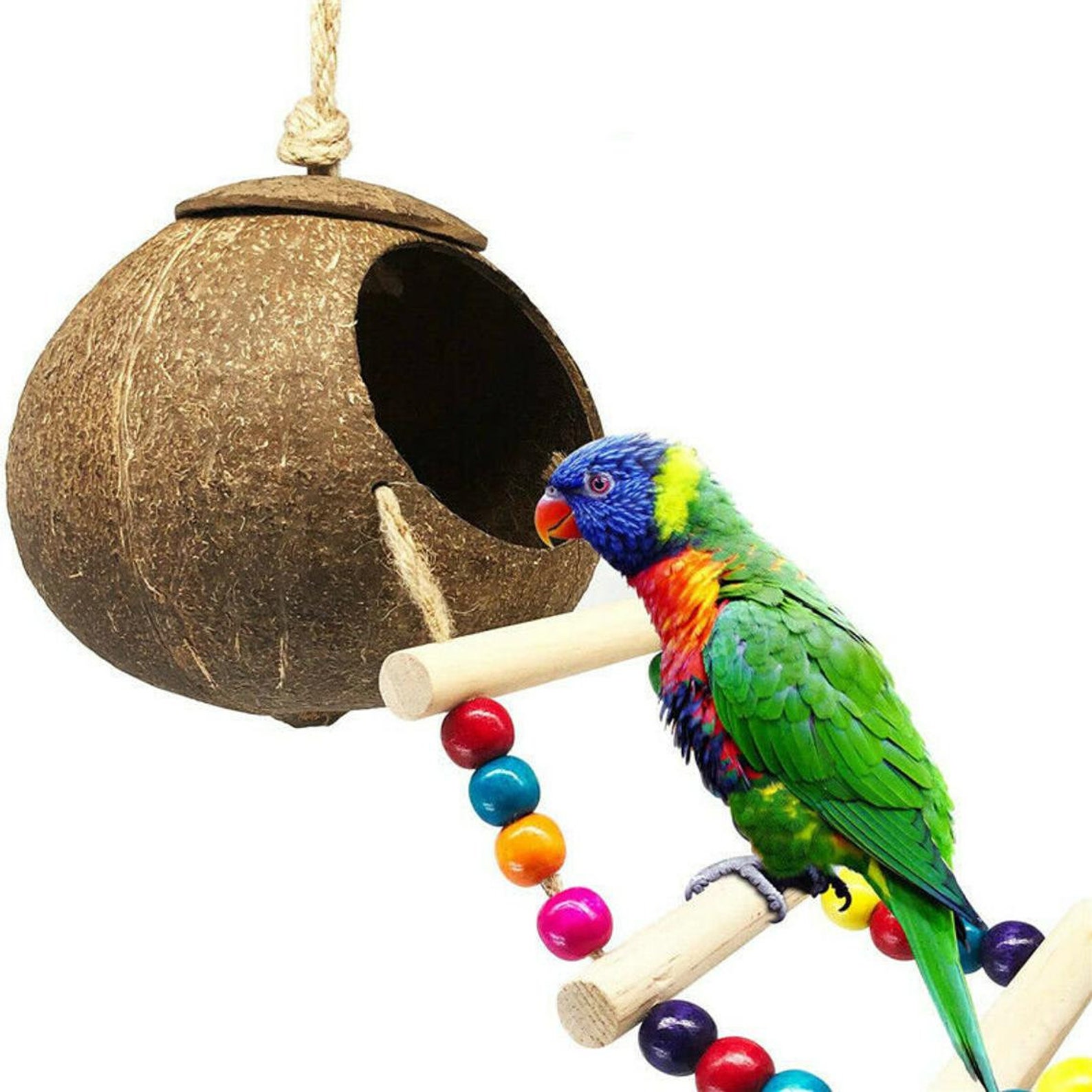 Handmade Coconut Bird House with Ladder Hanging Coconut Shell Etsy